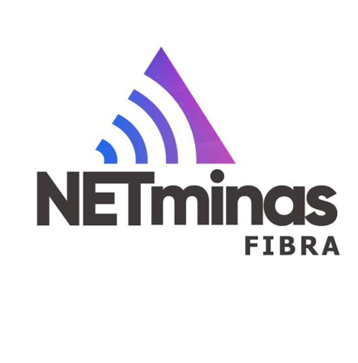 Netminas